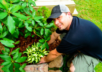 man smiling while planting and landscaping